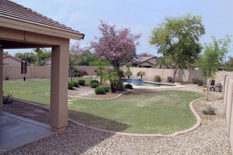 Tolson Backyard