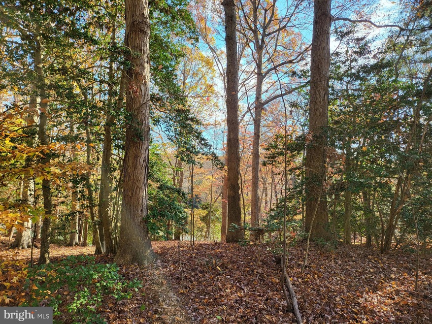 Lot 137 Knights Way, Montross, VA 22520 - photo 1