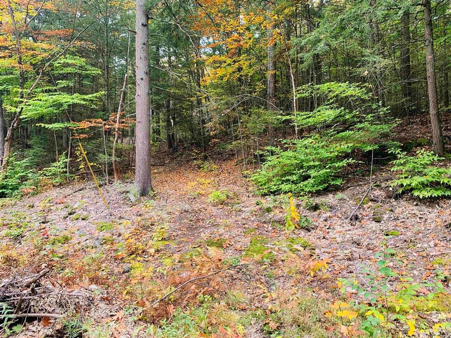 0 Meany Rd unit 4887098, Charlestown, NH 03603 - photo 1