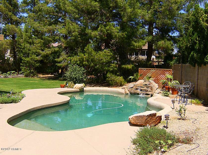 Beautiful Pool in Amazing Back Yard