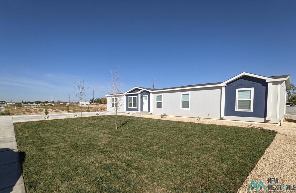 1008 Butternut St, Carlsbad, NM 88220 - photo 1