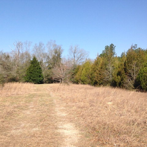 Main View