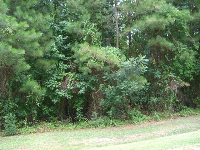 103 Cross Creek Cir, Macon, GA 31210 - photo 1