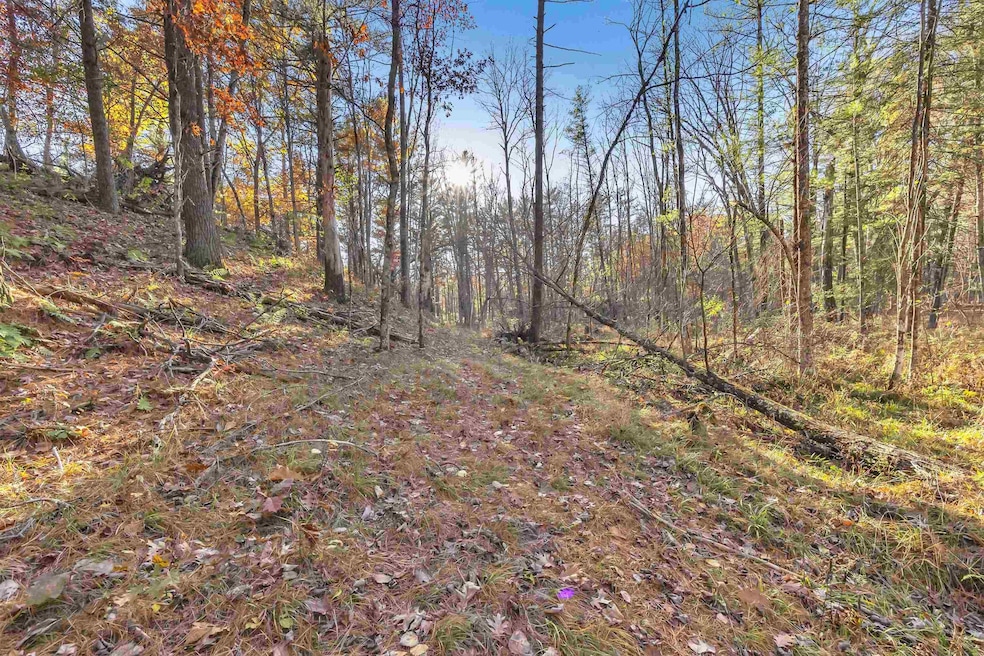 0 County Road Gg unit 50317557, Iola, WI 54945 - photo 1