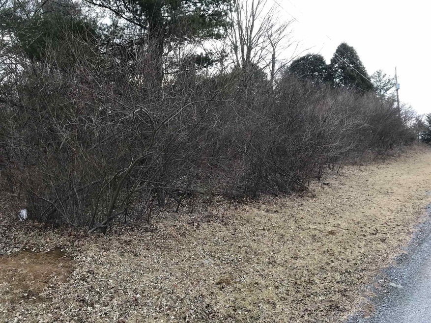 0 Fairview St unit 400667, Bland, VA 24315 - photo 1