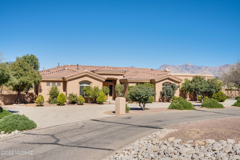 Mesquite Ct-1