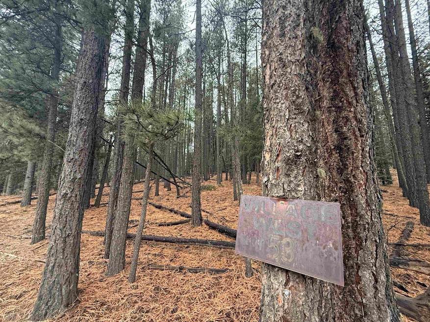 Lot 53 Valle Grande Trail, Angel Fire, NM 87710 - photo 1