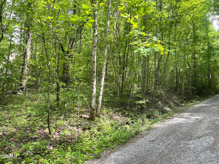 For Sale $55,000 • Co-Listing Agent