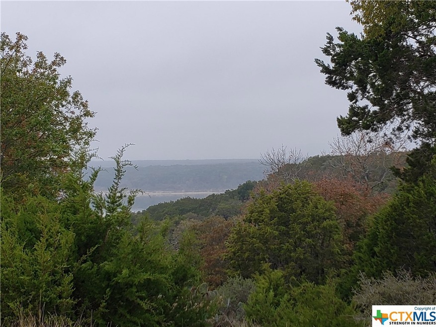 15831 Loveta Lane Ct, Temple, TX 76502 - photo 1