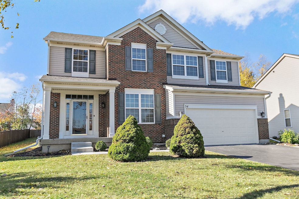 54 Meadows Dr, Gilberts, IL 60136 - photo 1