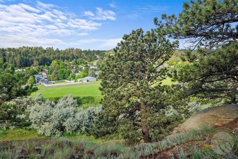 1150 Amendment Cir, Billings, MT 59105 - photo 1