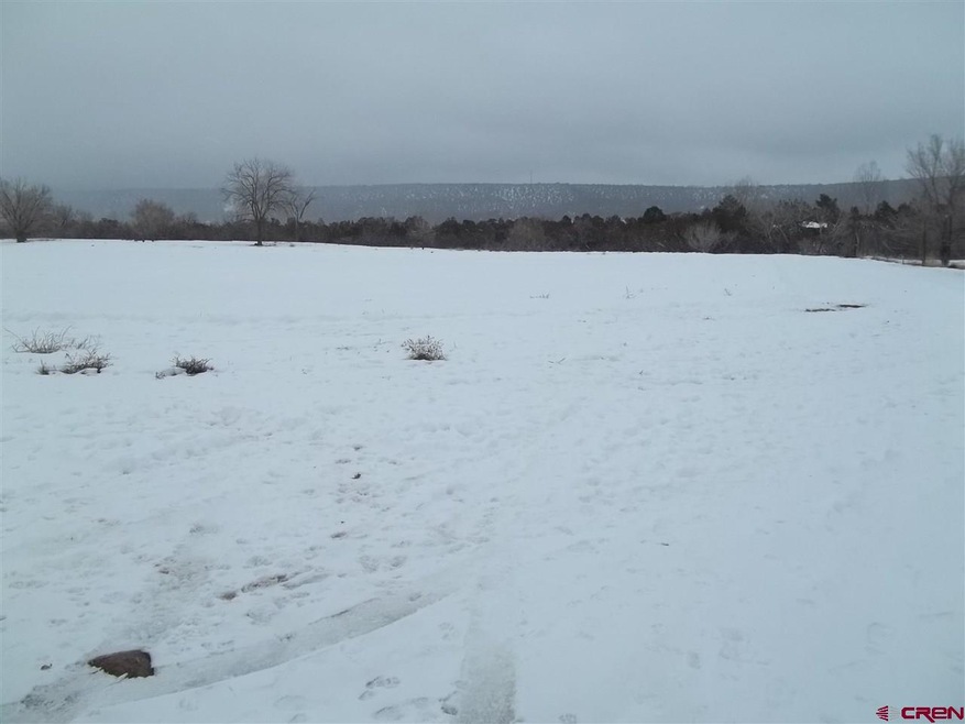 0 NE Fir Ave unit 753503, Cedaredge, CO 81413 - photo 1