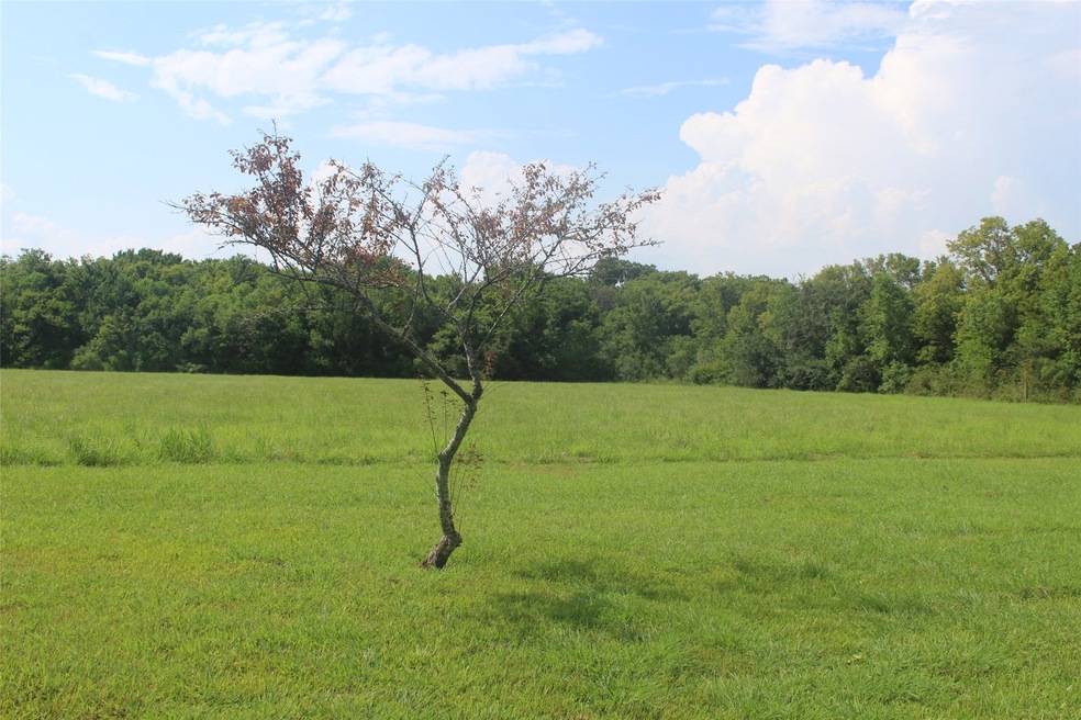 2310 Davis Ben County Rd 179 Rd, Alvin, TX 77511 - photo 1