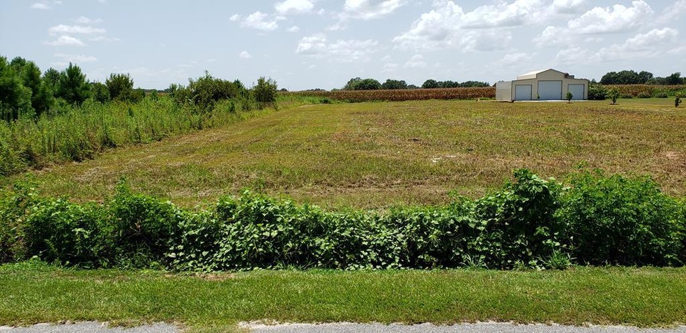 Tbd Ralph Bell Rd, Summerton, SC 29148 - photo 1