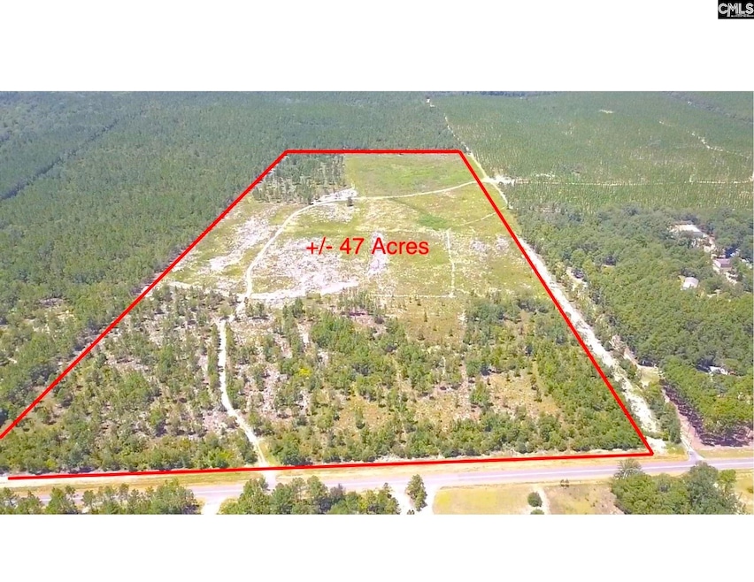 00 Bub Shumpert Rd, Pelion, SC 29123 - photo 1