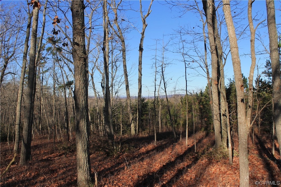 View of nature