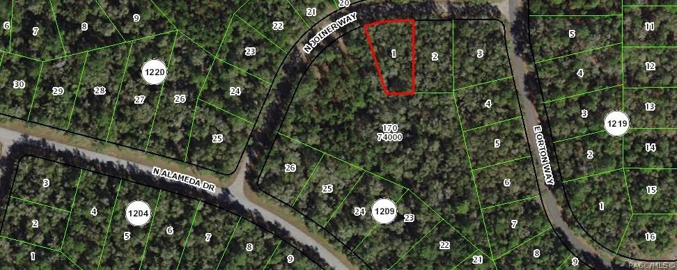 Subject property outlined in red