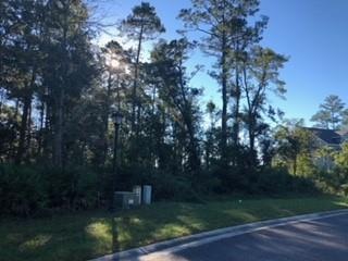 173 Bluebill Trail, Brunswick, GA 31523 - photo 1