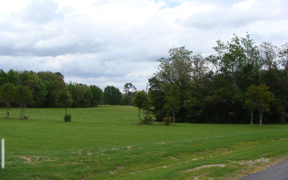 0 Mandiba Dr unit 104979, Lake City, FL 32024 - photo 1