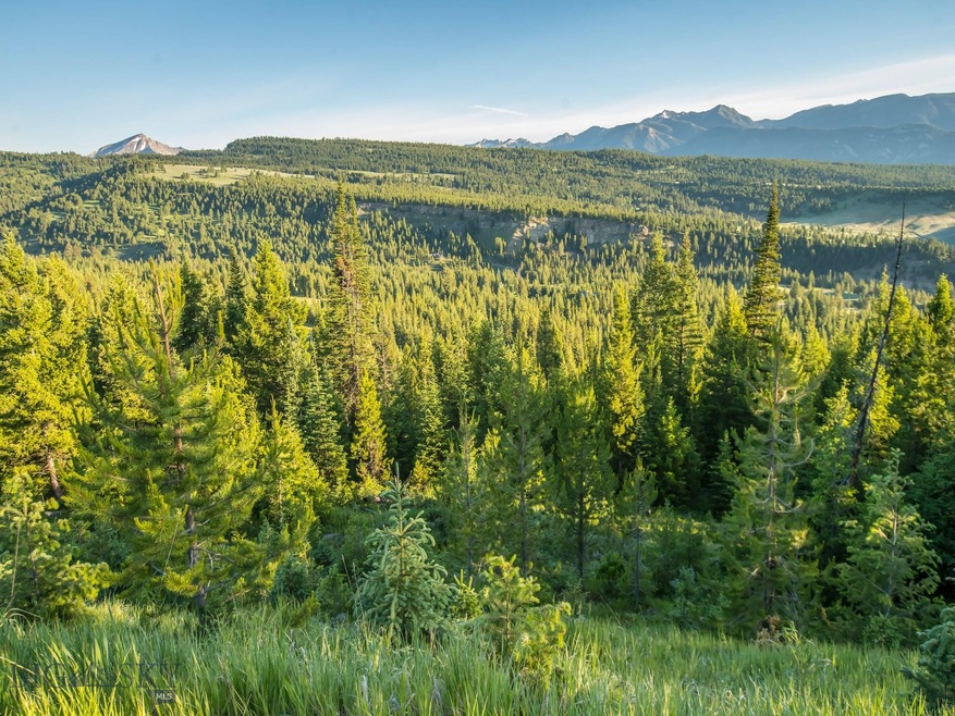 Lot 19 Towering Pines, Big Sky, MT 59716 - photo 1