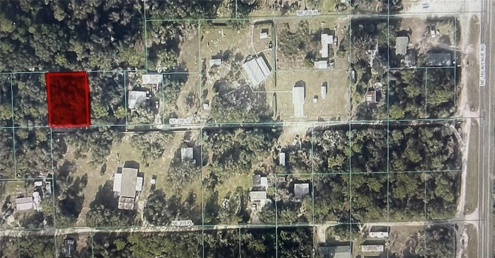 TBD NE 206th St, Fort Mc Coy, FL 32134 - photo 1