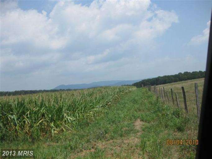 0 Helsley Rd unit 1003671354, Edinburg, VA 22824 - photo 1