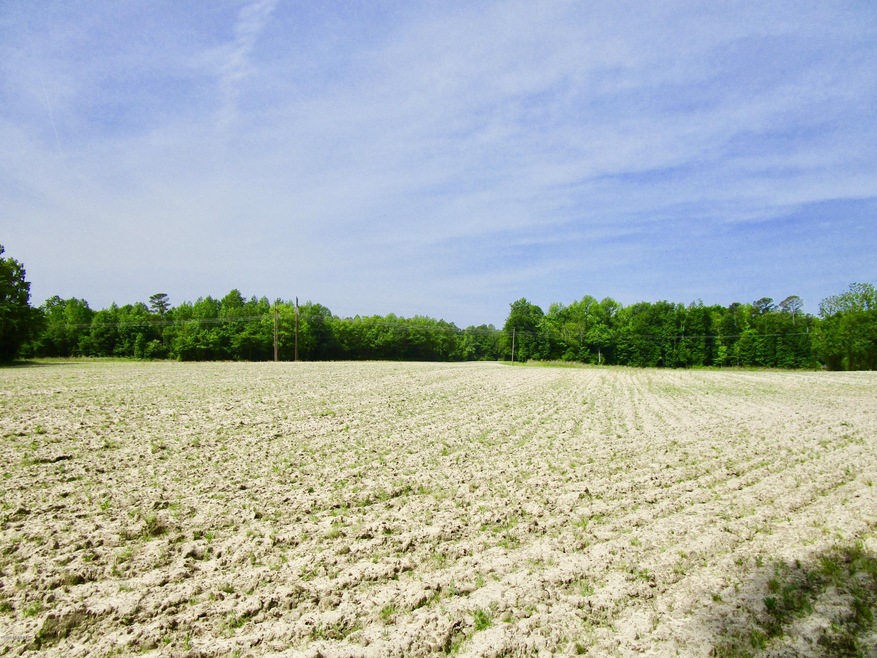 Farm