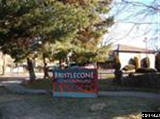 3117 Bristle Branch Dr unit 11, Sparks, NV 89434 - photo 1