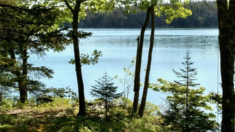 View of Back Cove from the deck.