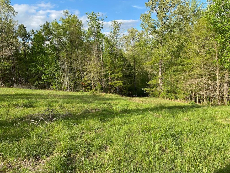 7 Crest Line Dr, Upatoi, GA 31829 - photo 1