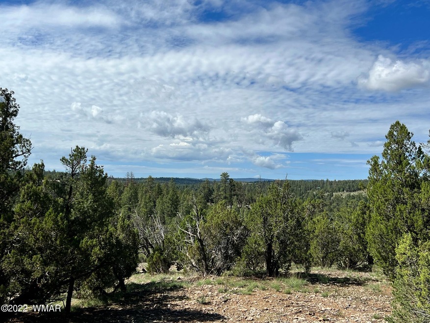 Par. B view1