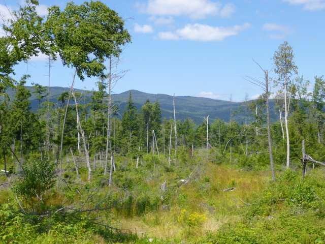 Land/Lot.