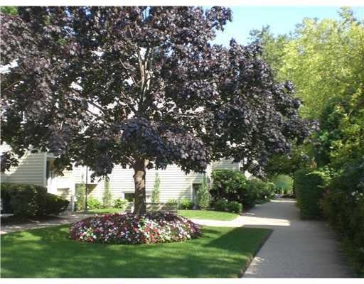 Yard/Garden.