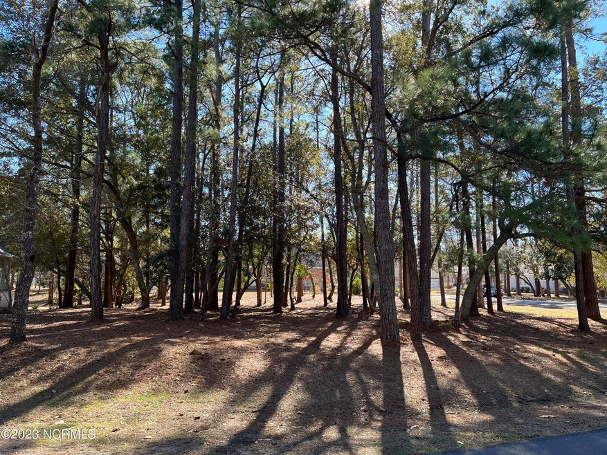 Great homesite
