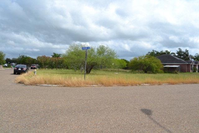 230 Caramel Dr, Alamo, TX 78516 - photo 1