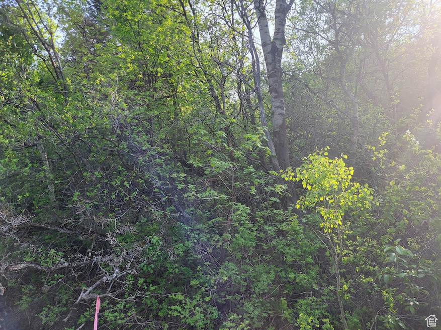 6151 Creekside Dr unit 17, Mountain Green, UT 84050 - photo 1