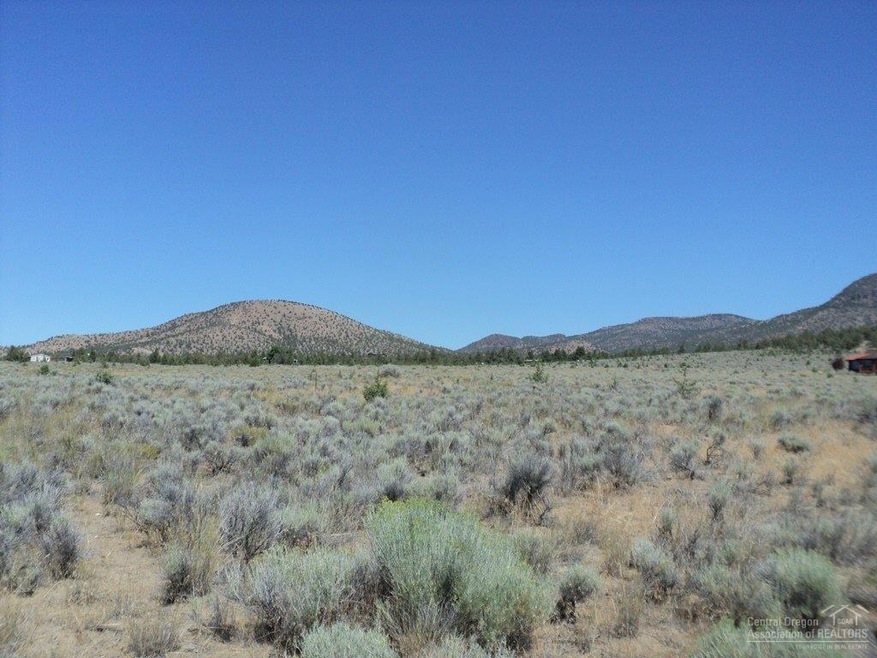 Primary Photo