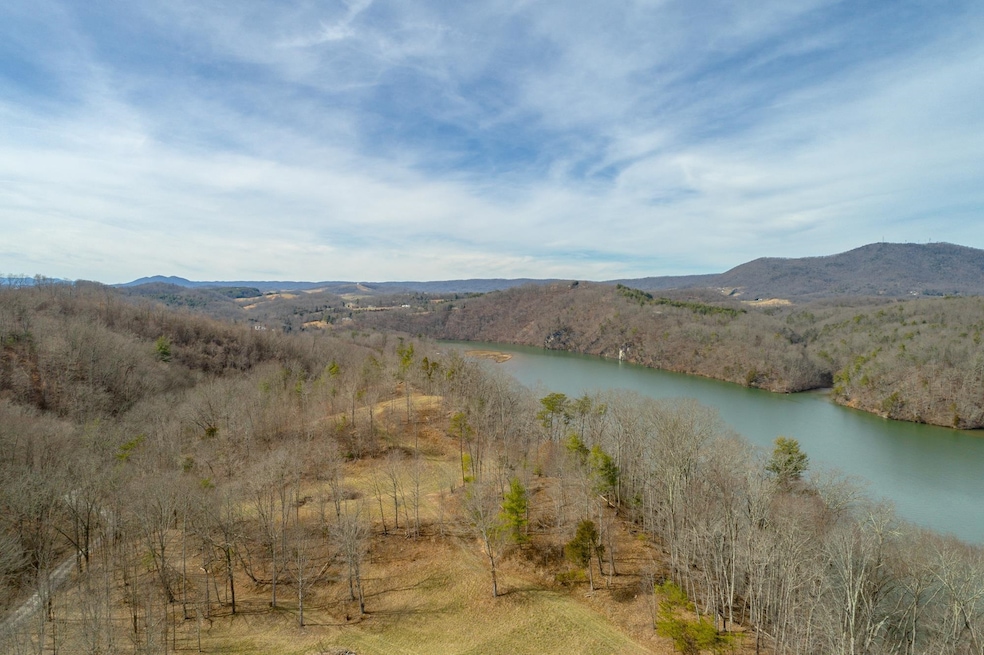 TBD Blackberry Ln, Hiwassee, VA 24347 - photo 1