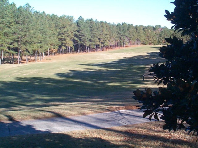 Main View