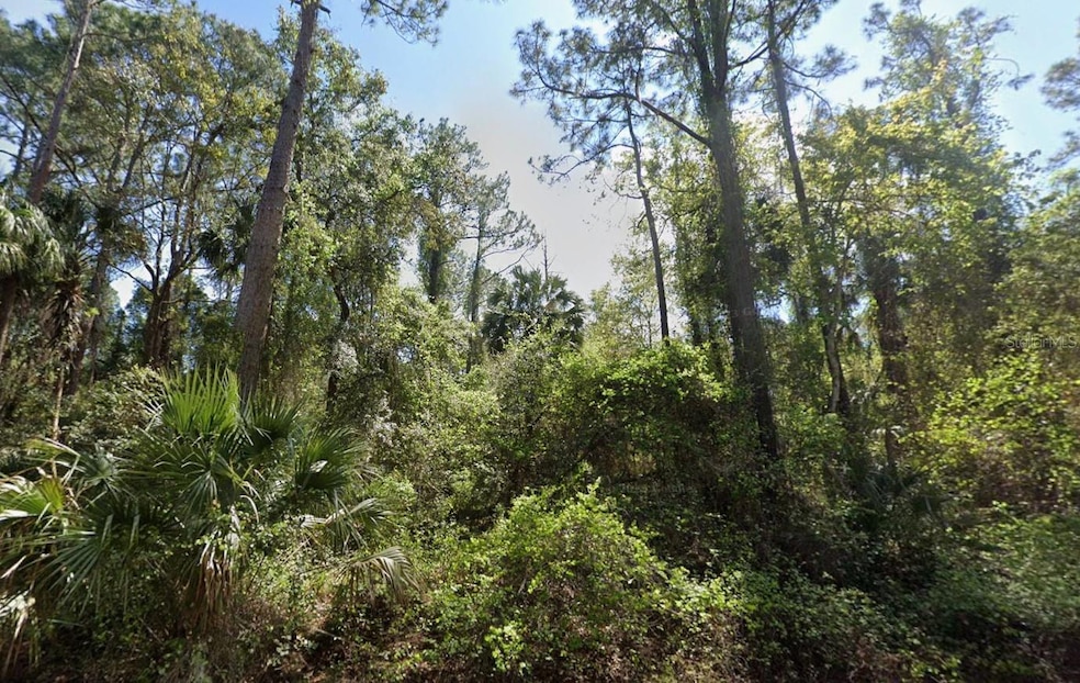 303 Siesta Dr, Georgetown Cove, FL 32139 - photo 1