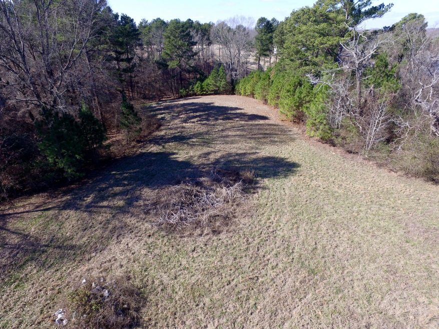 29 Ginners Ln, Hernando, MS 38632 - photo 1