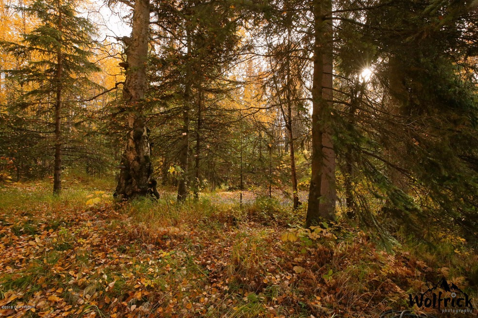 12440 Atherton Rd, Anchorage, AK 99516 - photo 1