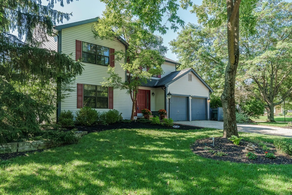 3481 Mountshannon_MLS_02