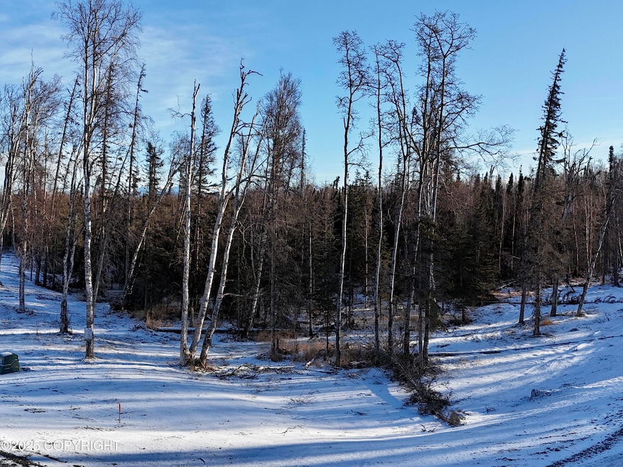 0186_1739327154853_photo