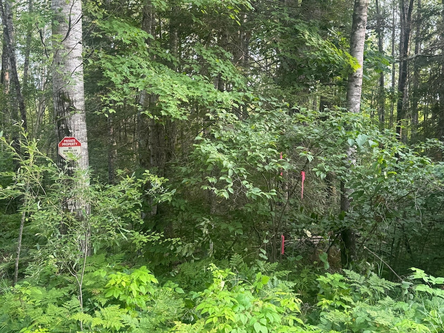 ON Schallock Ln, Crandon, WI 54520 - photo 1