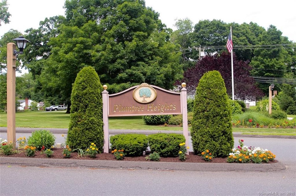 29 Deer Run unit 29, Bethel, CT 06801 - photo 1