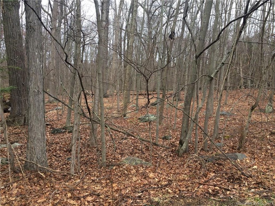 6 Fresh Meadow Rd unit Lot 6, Weston, CT 06883 - photo 1