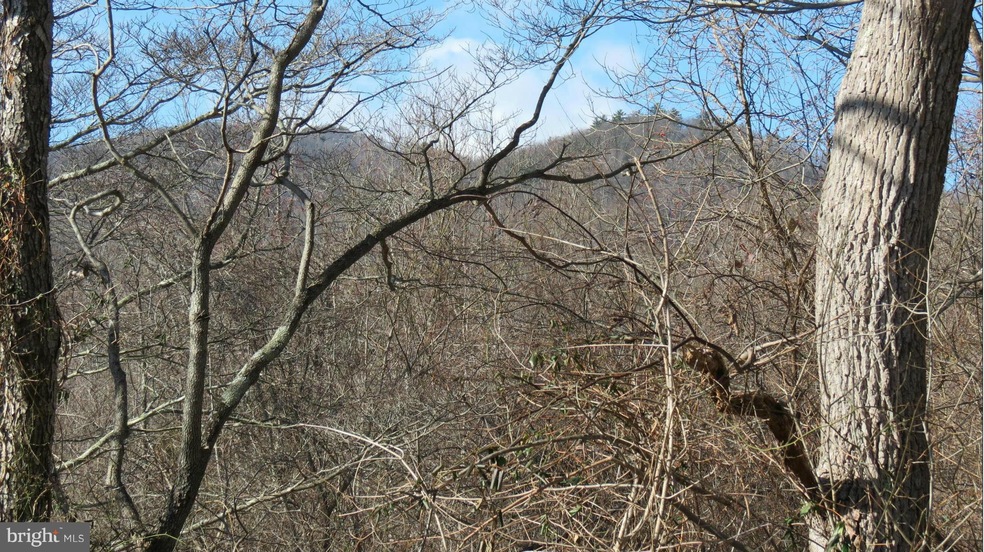 0 Lee Hwy unit 1000162279, Sperryville, VA 22740 - photo 1