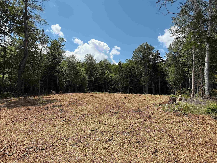 Lot 3 Old Mill Ln, Wilmington, VT 05363 - photo 1