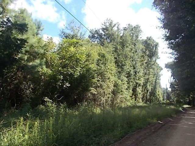 DSCN8829